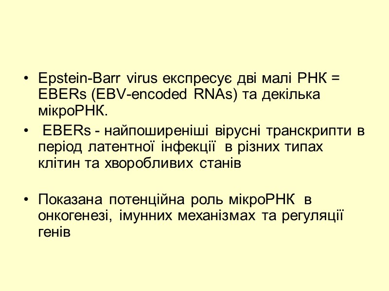 Epstein-Barr virus експресує дві малі РНК = EBERs (EBV-encoded RNAs) та декілька  мікроРНК.